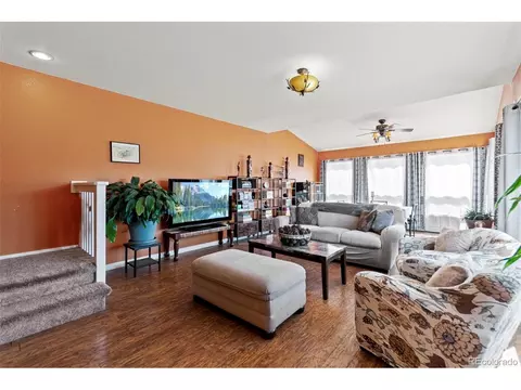 Living - 211 Appleby St, Bailey, CO 80421 photo 2 of 4