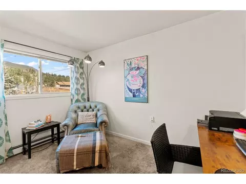 Other - 211 Appleby St, Bailey, CO 80421 photo 3 of 4