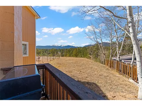 Exterior - 211 Appleby St, Bailey, CO 80421 photo 3 of 7