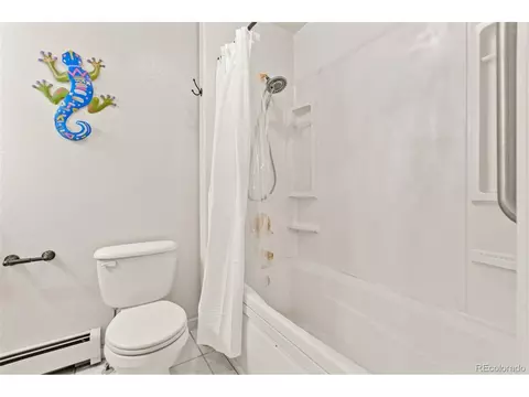 Bath - 211 Appleby St, Bailey, CO 80421 photo 5 of 6