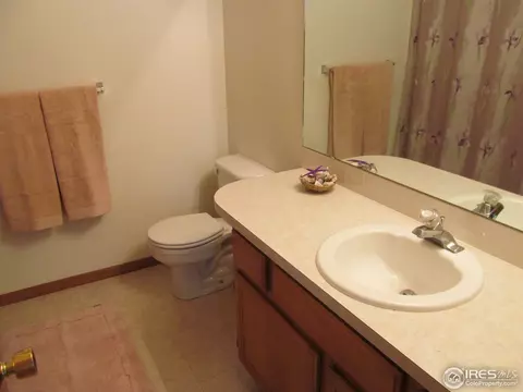 104 Crabapple Dr, Windsor, CO 80550 photo 12