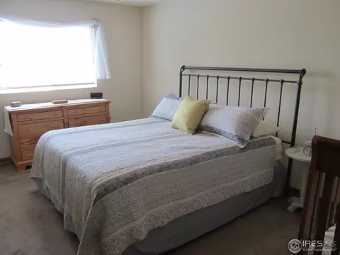 104 Crabapple Dr, Windsor, CO 80550 photo 10