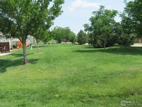 104 Crabapple Dr, Windsor, CO 80550 photo 15