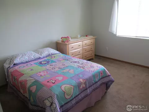 104 Crabapple Dr, Windsor, CO 80550 photo 11