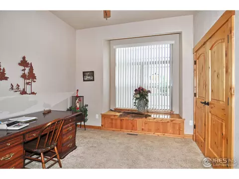 7021 Aladar Dr, Windsor, CO 80550 photo 20
