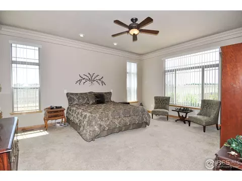 7021 Aladar Dr, Windsor, CO 80550 photo 10