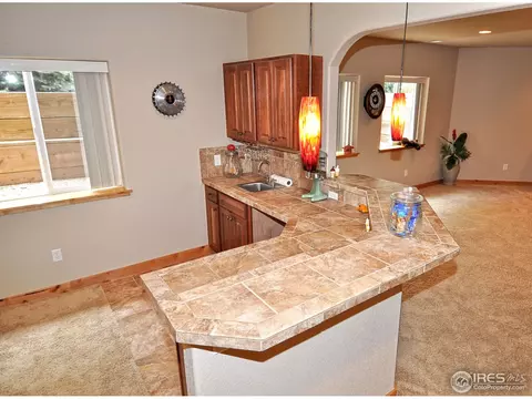 7021 Aladar Dr, Windsor, CO 80550 photo 22