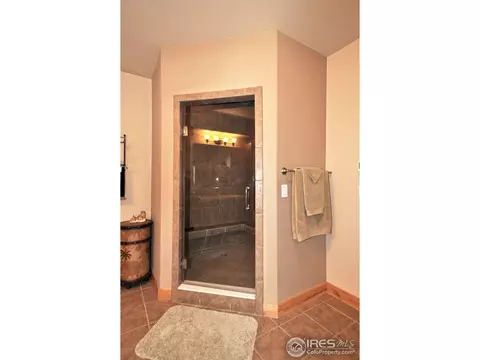 7021 Aladar Dr, Windsor, CO 80550 photo 13