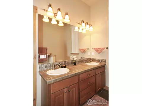 7021 Aladar Dr, Windsor, CO 80550 photo 11