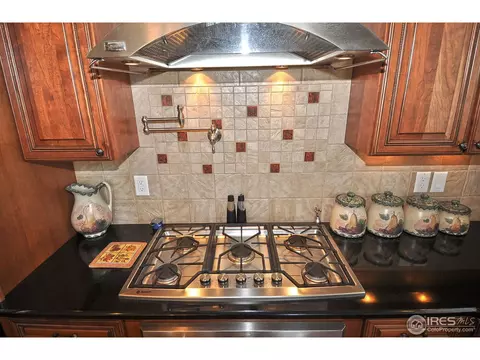 7021 Aladar Dr, Windsor, CO 80550 photo 9