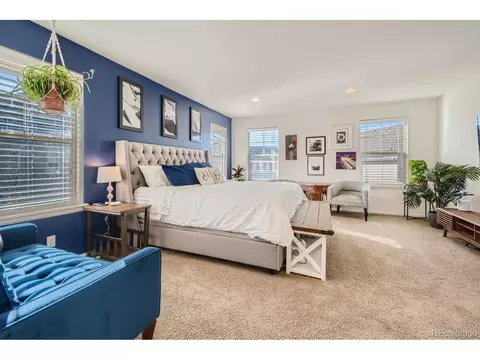 9228 E 52nd Dr, Denver, CO 80238 photo 11
