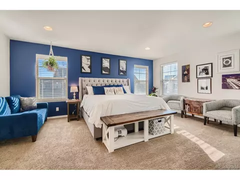 9228 E 52nd Dr, Denver, CO 80238 photo 10