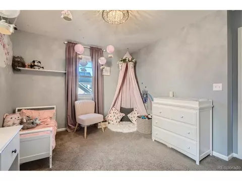 9228 E 52nd Dr, Denver, CO 80238 photo 14