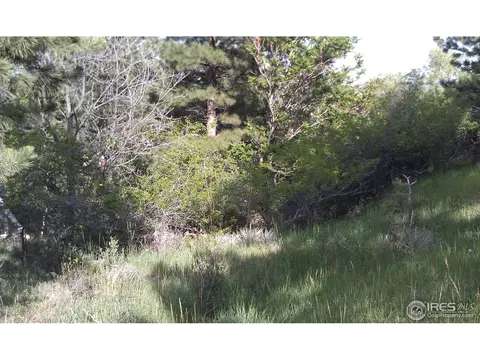 3101 3rd St, Boulder, CO 80304 photo 4