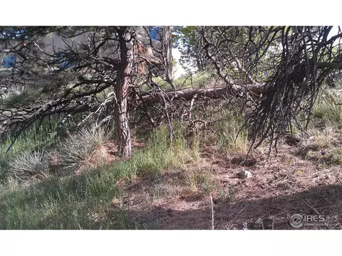 3101 3rd St, Boulder, CO 80304 photo 6