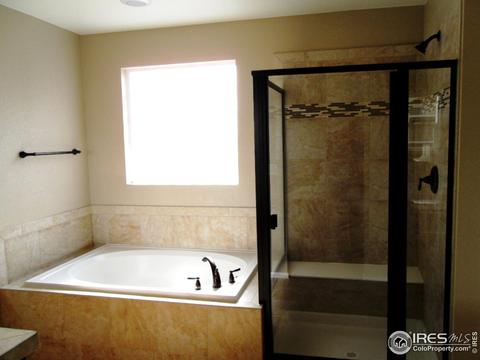 5822 Graphite St, Timnath, CO 80547 photo 10