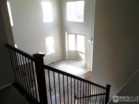 5822 Graphite St, Timnath, CO 80547 photo 6