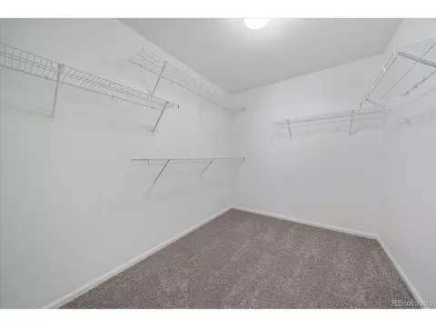 20337 E 46th Ave, Denver, CO 80249 photo 23