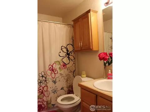 1362 Windjammer Dr, Windsor, CO 80550 photo 15