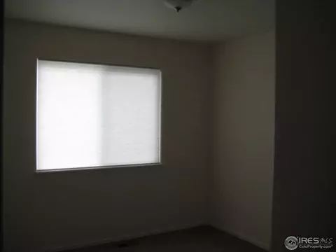 16242 Ginger Ave, Mead, CO 80542 photo 10