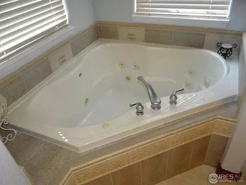 305 Columbus St, Windsor, CO 80550 photo 17