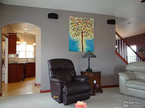 305 Columbus St, Windsor, CO 80550 photo 5