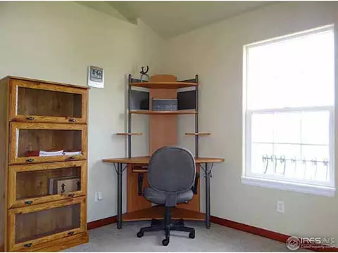 305 Columbus St, Windsor, CO 80550 photo 19