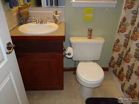 305 Columbus St, Windsor, CO 80550 photo 22