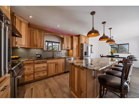 233 Saddlestring Rd, Bailey, CO 80421 photo 11
