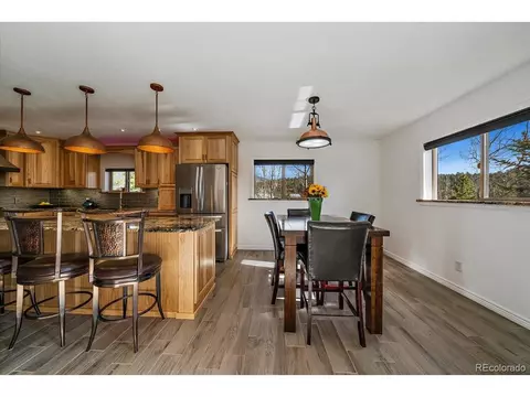 233 Saddlestring Rd, Bailey, CO 80421 photo 15