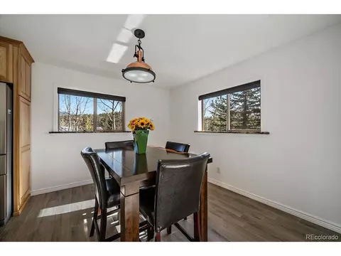 233 Saddlestring Rd, Bailey, CO 80421 photo 16