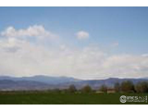 1533 Windshire Dr, Windsor, CO 80550 photo 4