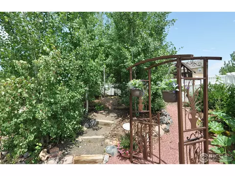 116 Cobble Dr, Windsor, CO 80550 photo 20