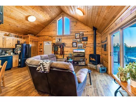 48 Whimbrel Ct, Como, CO 80432 photo 7
