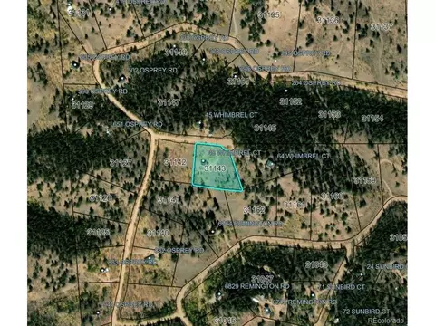 48 Whimbrel Ct, Como, CO 80432 photo 37