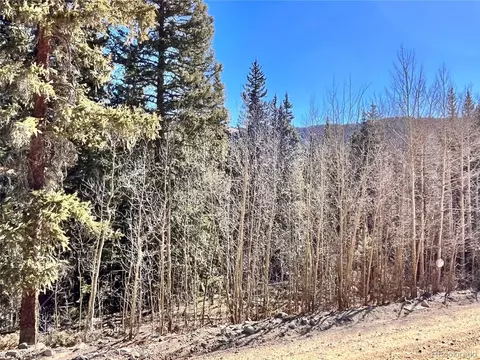642 Quartzville Rd, Alma, CO 80420