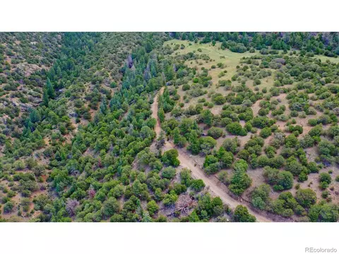 307 Mosca Pass, Mosca, CO 81146 photo 20