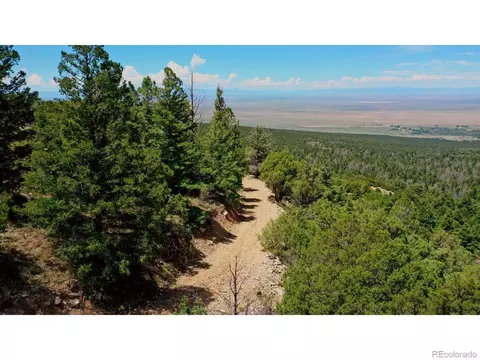 307 Mosca Pass, Mosca, CO 81146 photo 8