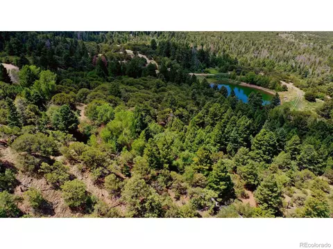 307 Mosca Pass, Mosca, CO 81146 photo 2