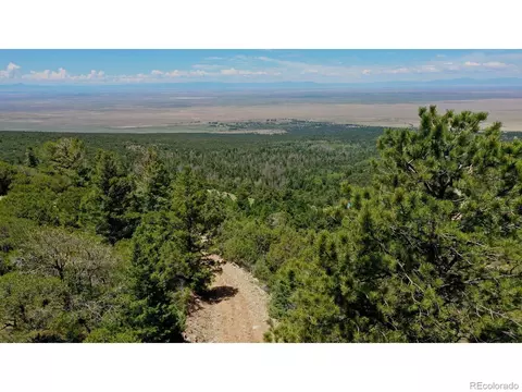 307 Mosca Pass, Mosca, CO 81146 photo 9