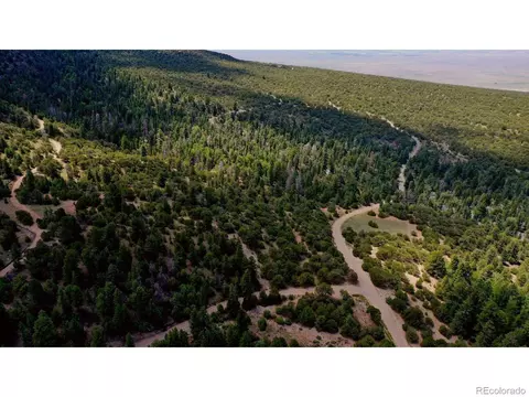 307 Mosca Pass, Mosca, CO 81146 photo 19