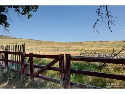 14519 Gratitude Rd, Laporte, CO 80535 photo 12