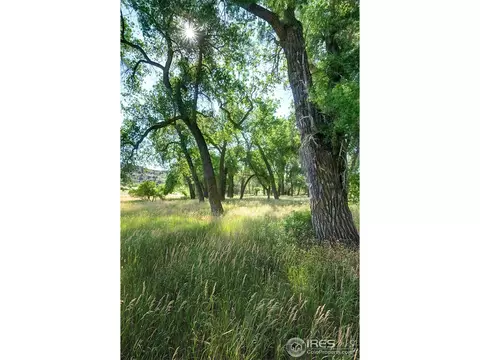 14519 Gratitude Rd, Laporte, CO 80535 photo 17