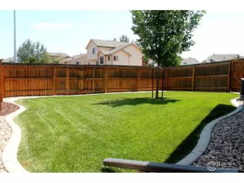 920 Cornerstone Dr, Windsor, CO 80550 photo 4