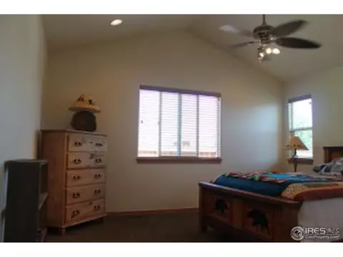 920 Cornerstone Dr, Windsor, CO 80550 photo 8