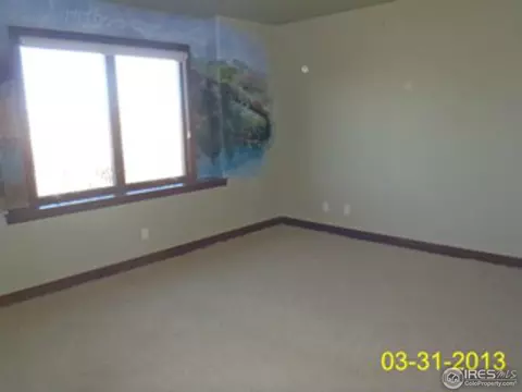 1648 Leana Ct, Windsor, CO 80550 photo 14