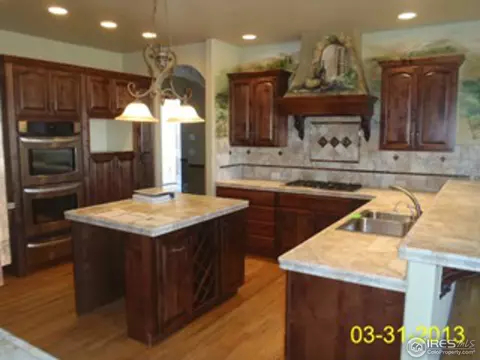 1648 Leana Ct, Windsor, CO 80550 photo 2