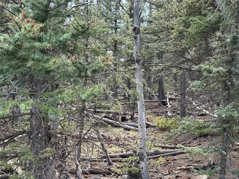 1 Apache Trl, Jefferson, CO 80456 photo 6