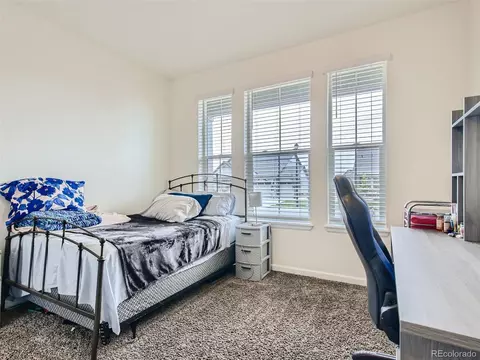 7731 E 157th Ave, Thornton, CO 80602 photo 19