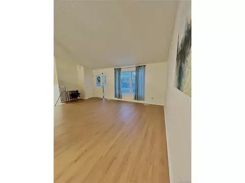 4354 E 117th Pl, Thornton, CO 80233 photo 3